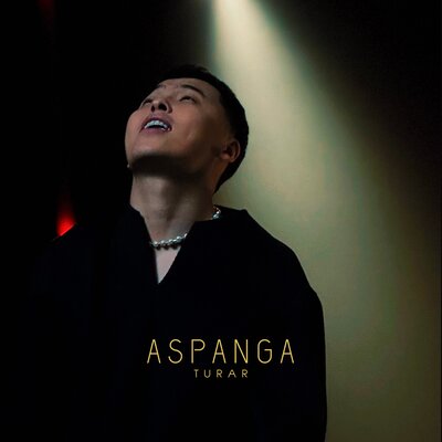 Песня Turar – Aspanga