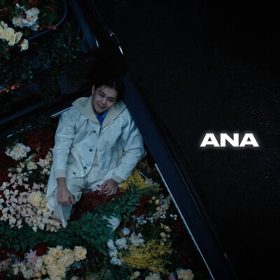 Песня Sadraddin – Ana
