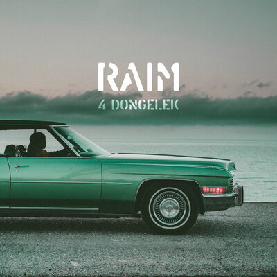 Песня RaiM – Whatcha Wanna
