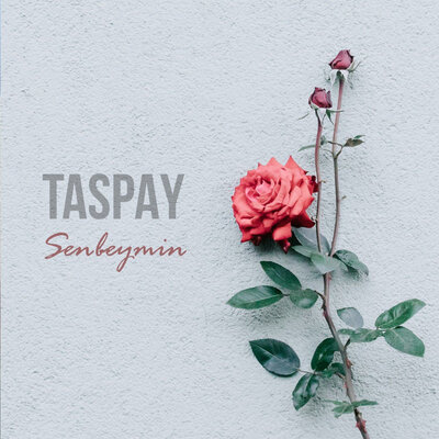 Песня Taspay – Senbeymin