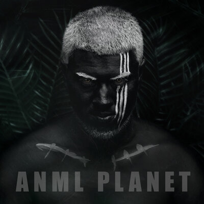 Песня Shiza – Anml Planet