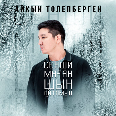 Песня Айкын Толепберген – Сенши маган шын айтамын